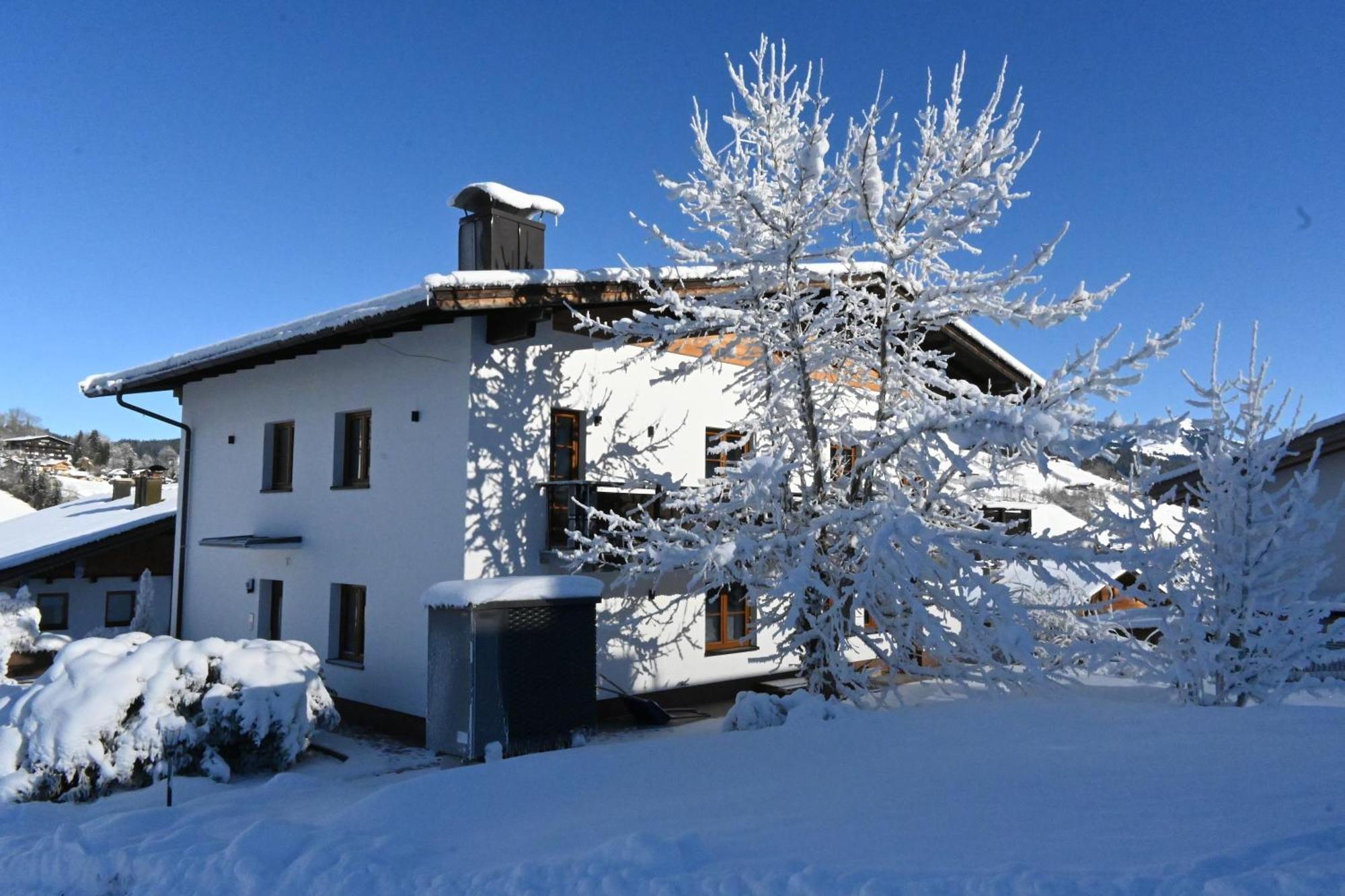 Nicky Apartments And Studios Niederau Esterno foto
